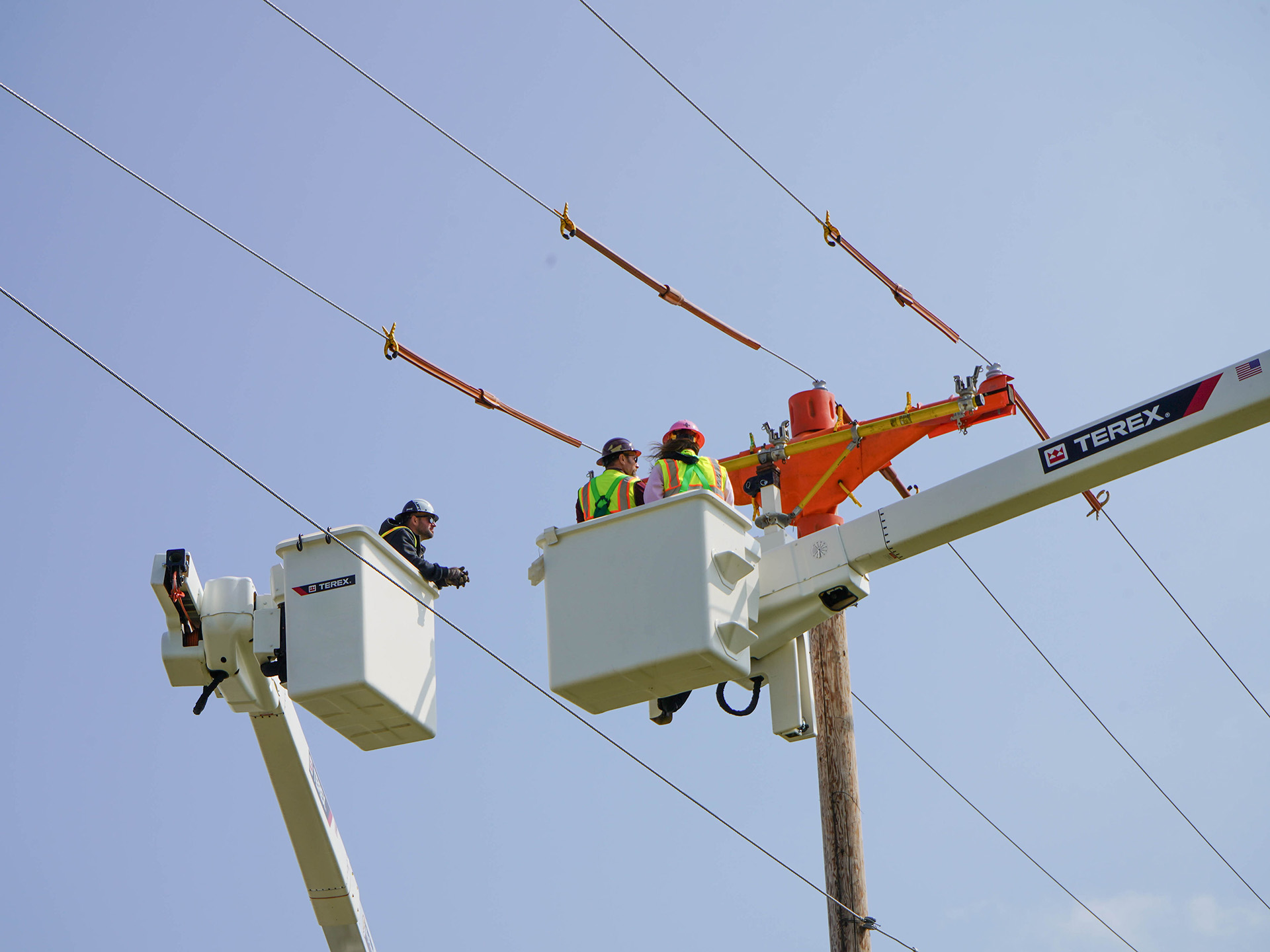Crew members in Terex bucket trucks working near power lines